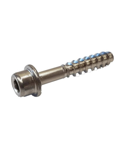 SV - SCREW STRAP M6X32 MM