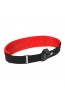 FORWARD - TRAPEZIO WING BELT 2.0