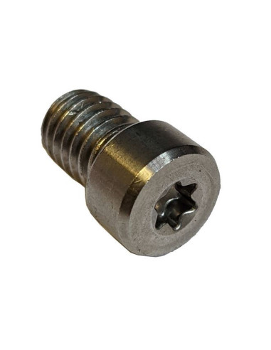 STARBOARD - TORX SCREW